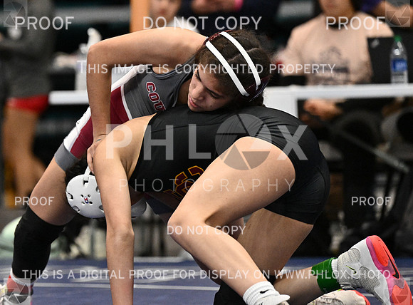 DLS_3416