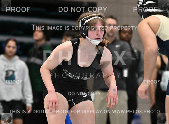 DLS_4299
