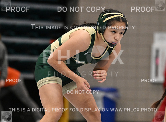 DLS_4107
