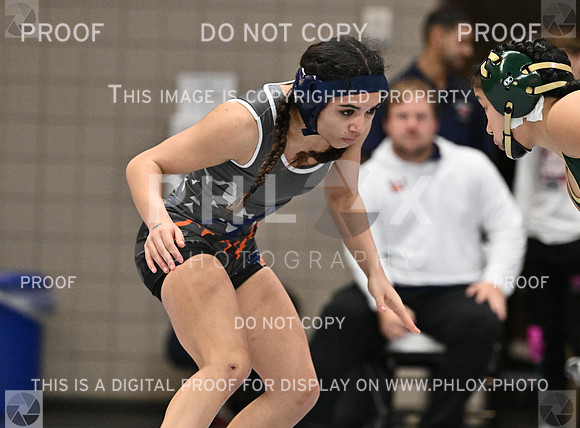 DLS_4104