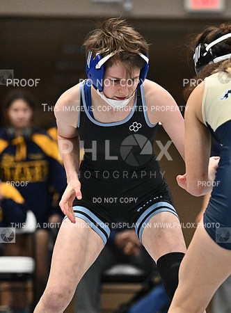 DLS_4672