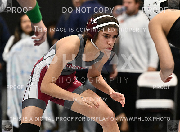 DLS_3377