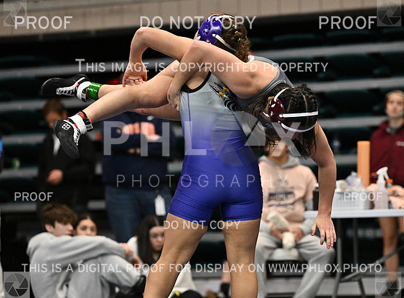 DLS_4310