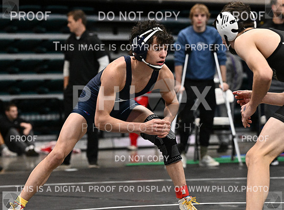 DLS_3136