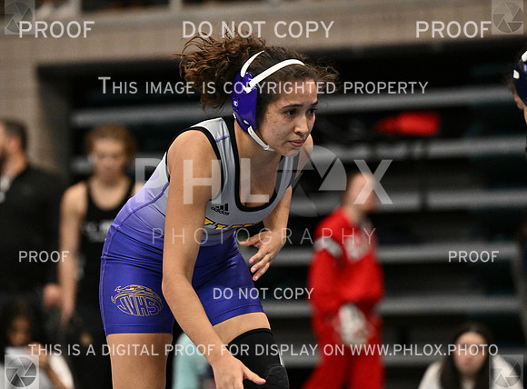 DLS_4098