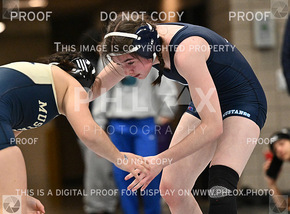 DLS_4200