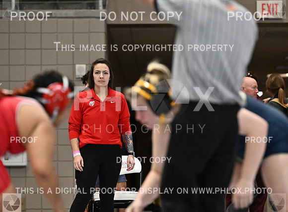 DLS_4577