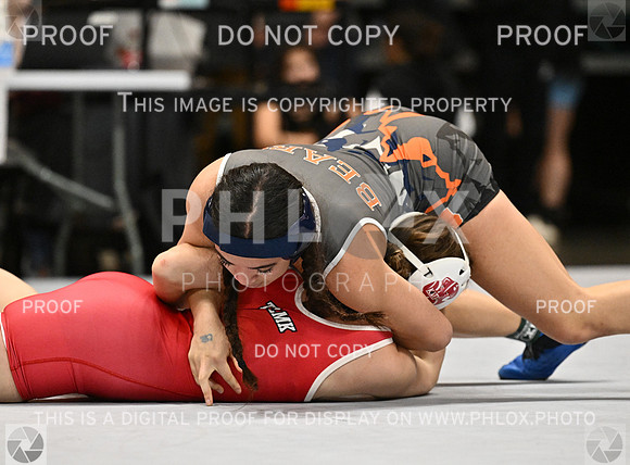 DLS_4902