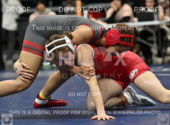 DLS_3961