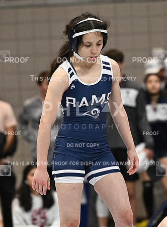 DLS_3587