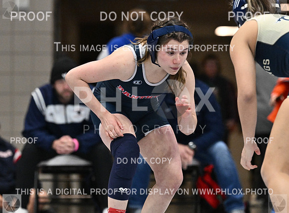 DLS_4035