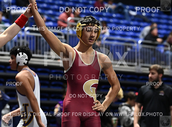 DLS_7018