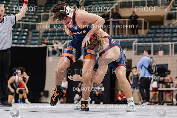 ADAM1646