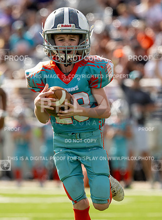 12pm Freshman -Vikings (V) vs Dolphins (H)-84