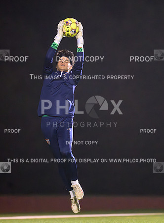 PSZ_190603
