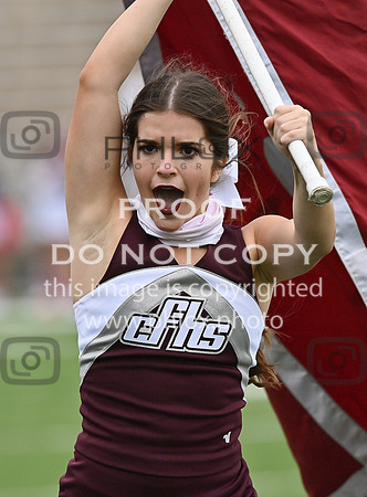 DLS_0118
