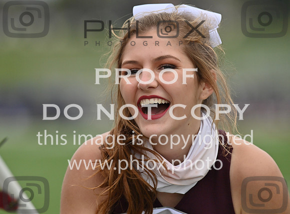 DLS_0195