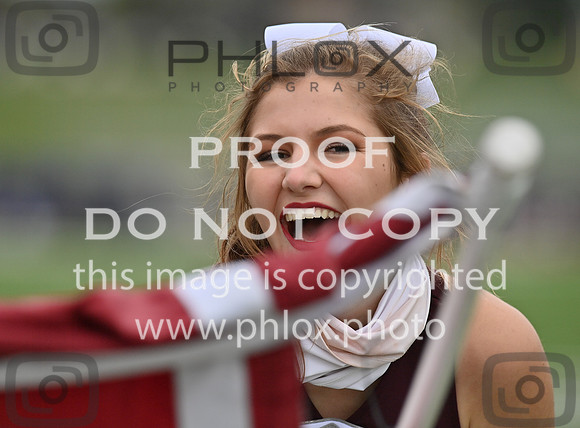 DLS_0196