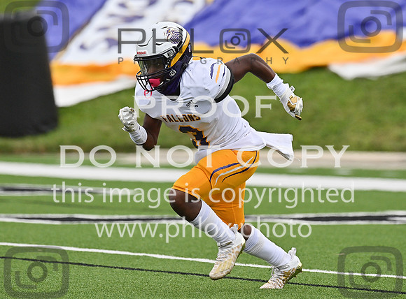 DLS_0198