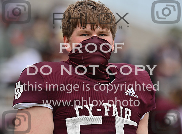 DLS_0041