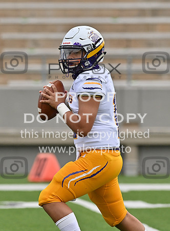 DLS_0014