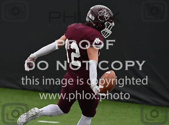 DLS_0166