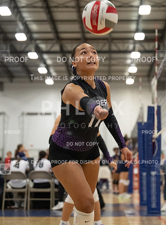 DLS_6927