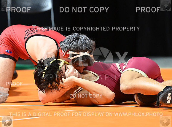 DLS_6995