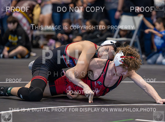 DLS_3005