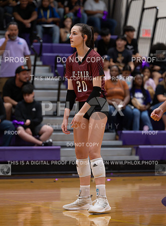 DLS_0619
