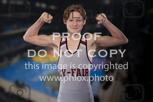 DLS_5131