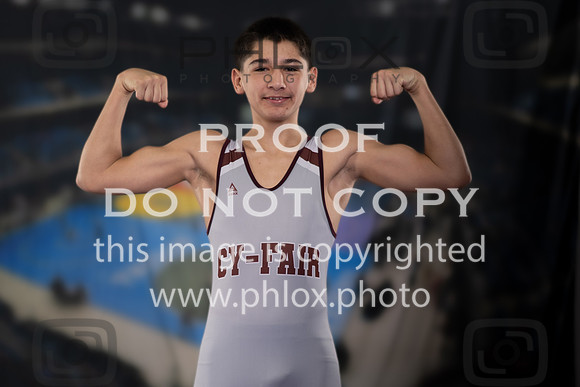 DLS_5125