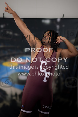 DLS_5117