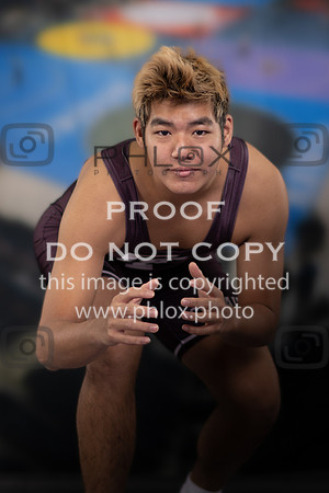 DLS_5090
