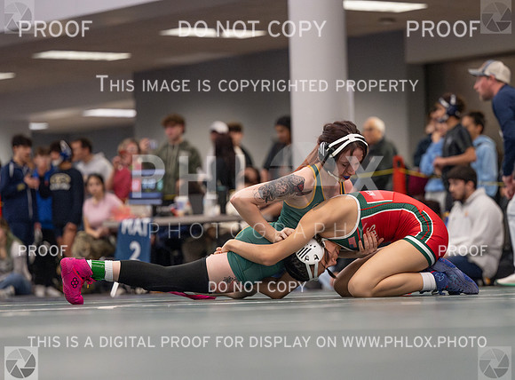 DLS_1482-Enhanced-NR