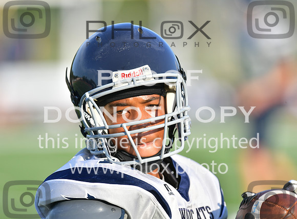 TOM_6081