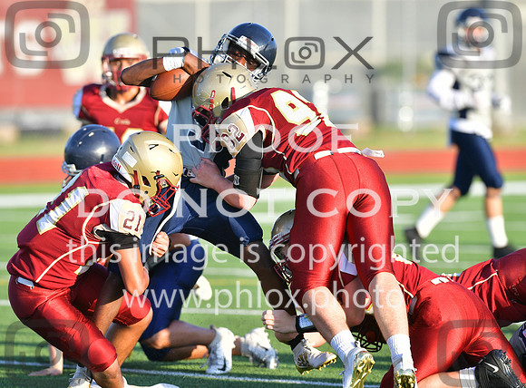 TOM_6517