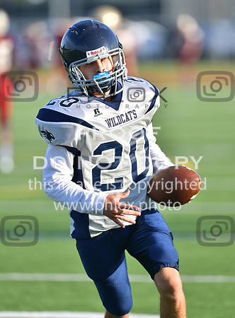 TOM_6145