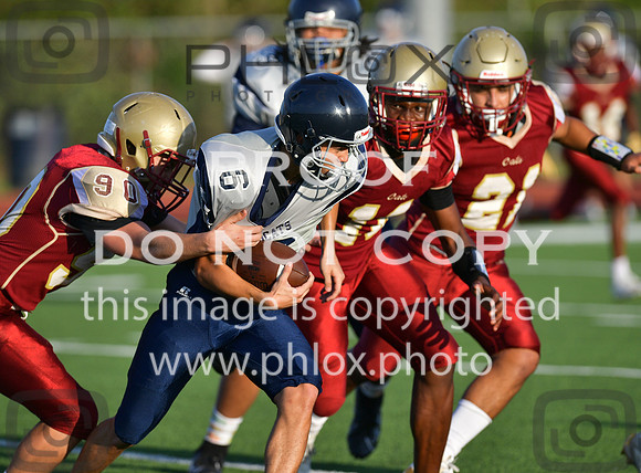 TOM_6378