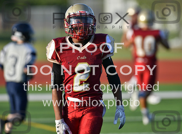 TOM_6307