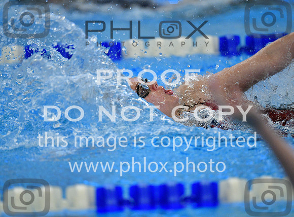 TOM_1548