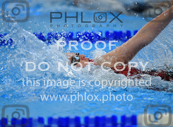 TOM_1556
