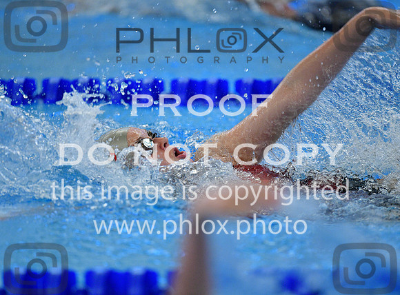TOM_1564