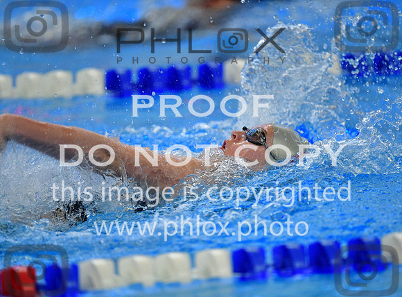 TOM_1577
