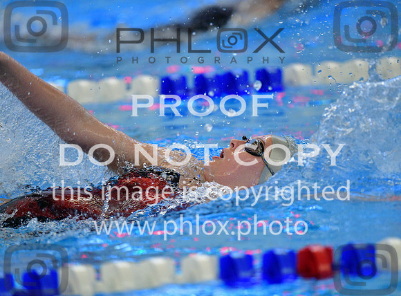 TOM_1573