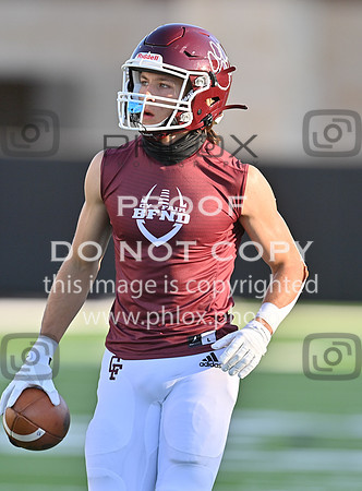 DLS_6711