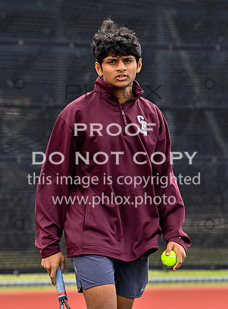 DLS_2905