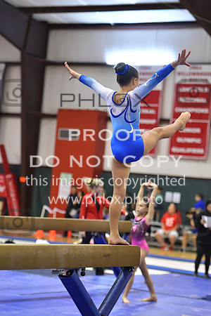 D5K_7595