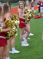 D85_3638