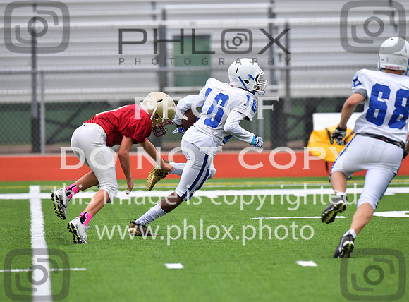TD5_7423-2